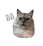 Titch Titch No.1（個別スタンプ：23）