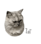 Titch Titch No.1（個別スタンプ：24）