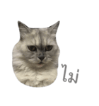 Titch Titch No.1（個別スタンプ：25）