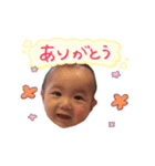 aochin（個別スタンプ：1）