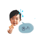 むしの毎日2（個別スタンプ：17）