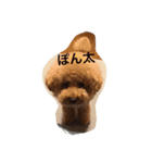 まんまるぽん太と妹のん（個別スタンプ：3）