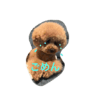 まんまるぽん太と妹のん（個別スタンプ：11）