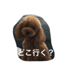 まんまるぽん太と妹のん（個別スタンプ：15）