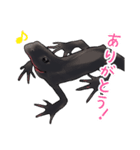 アカハライモリのおいも（個別スタンプ：8）