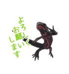 アカハライモリのおいも（個別スタンプ：14）