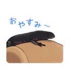 アカハライモリのおいも（個別スタンプ：16）