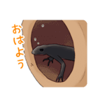 アカハライモリのおいも（個別スタンプ：17）