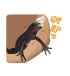 アカハライモリのおいも（個別スタンプ：18）