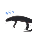 アカハライモリのおいも（個別スタンプ：22）