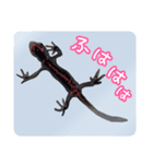 アカハライモリのおいも（個別スタンプ：23）