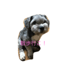 maru1gou（個別スタンプ：3）