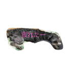 maru1gou（個別スタンプ：4）