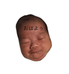 いろんな赤ちゃん（個別スタンプ：6）