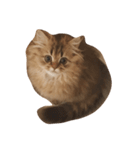 mequemeque（個別スタンプ：2）