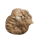 mequemeque（個別スタンプ：11）