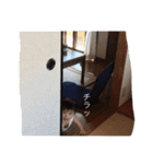 雄飛（個別スタンプ：18）