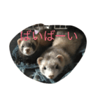 korumiru（個別スタンプ：8）