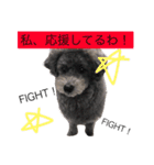 石井 ティム2（個別スタンプ：6）