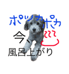 石井 ティム2（個別スタンプ：7）
