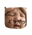 ふうがの日常（個別スタンプ：7）