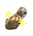 るぅだん（個別スタンプ：10）
