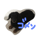 るぅだん（個別スタンプ：15）