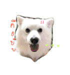 totang'fam（個別スタンプ：5）