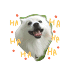 totang'fam（個別スタンプ：11）
