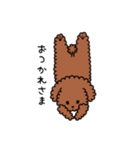 トイプーの飼い主さんへ。（個別スタンプ：6）