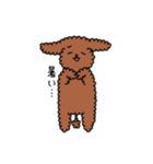 トイプーの飼い主さんへ。（個別スタンプ：7）