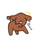 トイプーの飼い主さんへ。（個別スタンプ：8）