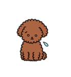 トイプーの飼い主さんへ。（個別スタンプ：13）