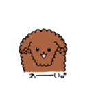 トイプーの飼い主さんへ。（個別スタンプ：25）