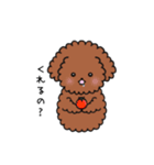 トイプーの飼い主さんへ。（個別スタンプ：40）