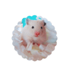 キンクマハムスターぴょんちゃんしーちゃん（個別スタンプ：2）