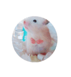 キンクマハムスターぴょんちゃんしーちゃん（個別スタンプ：4）