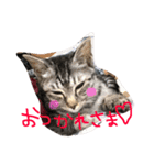 家族のうーちゃん（個別スタンプ：14）