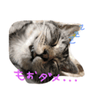 家族のうーちゃん（個別スタンプ：22）