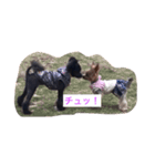 ポメプー ハルちゃん（個別スタンプ：2）