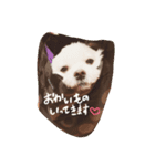 こなちゃんすたんぷ（個別スタンプ：2）
