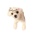 こなちゃんすたんぷ（個別スタンプ：4）