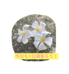 毎日優花ちゃん 2（個別スタンプ：7）