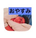 こーちゃんだよ（個別スタンプ：14）