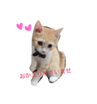 MIRUchan.（個別スタンプ：1）