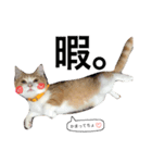 MIRUchan.（個別スタンプ：3）
