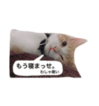 MIRUchan.（個別スタンプ：5）