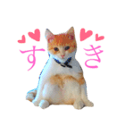 MIRUchan.（個別スタンプ：7）