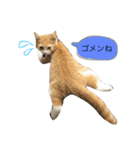 MIRUchan.（個別スタンプ：8）
