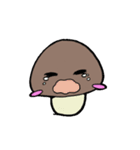 どんこのどんちゃん（個別スタンプ：4）